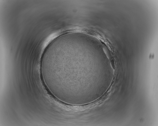 X0000091000006200708091550