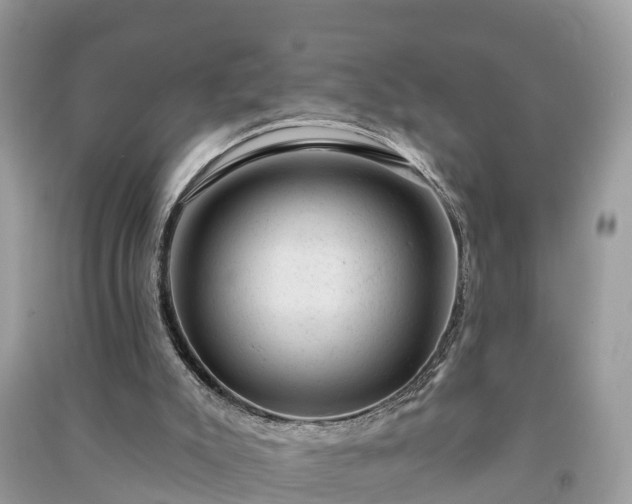 X0000091000007200708091550