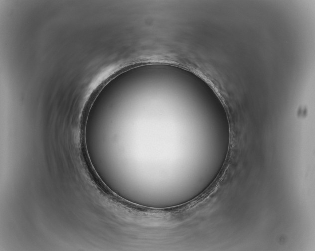 X0000091000008200708091550