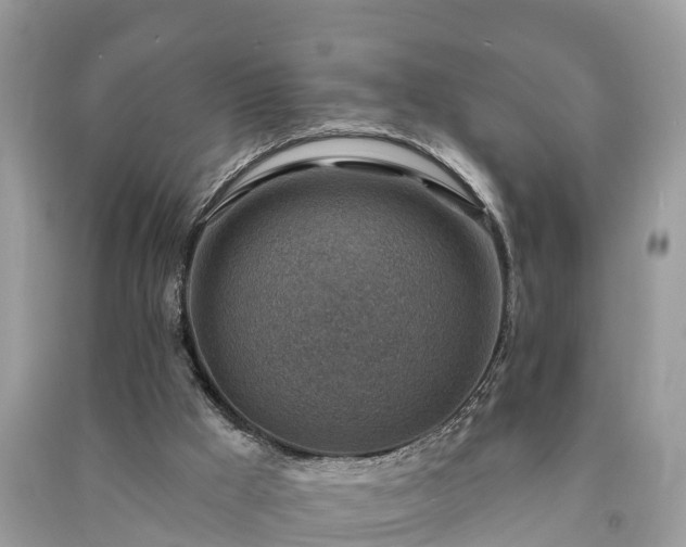 X0000091000009200708091550