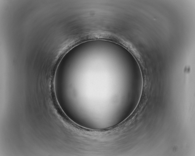 X0000091000010200708091550