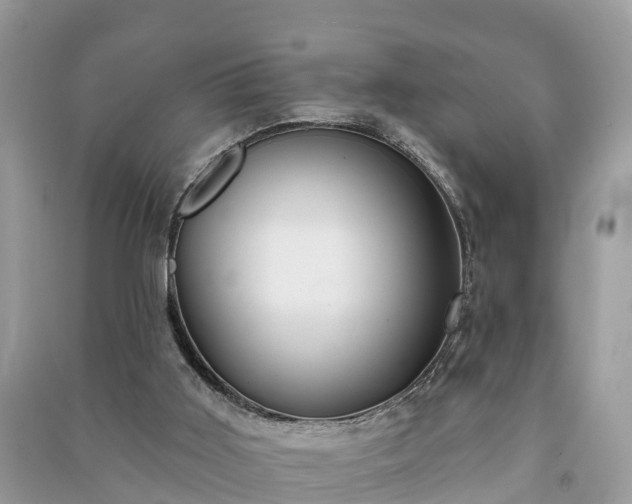 X0000091000011200708091550