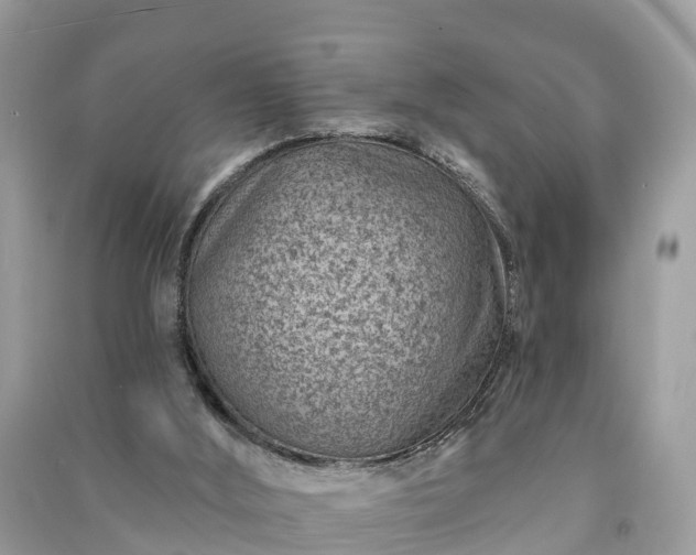 X0000091000012200708091550