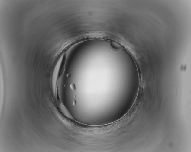 X0000091000013200708091550