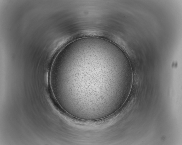 X0000091000014200708091550
