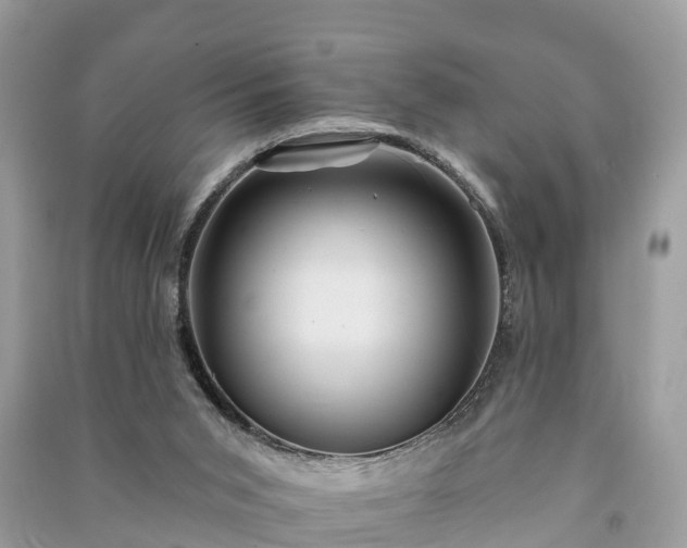 X0000091000015200708091550