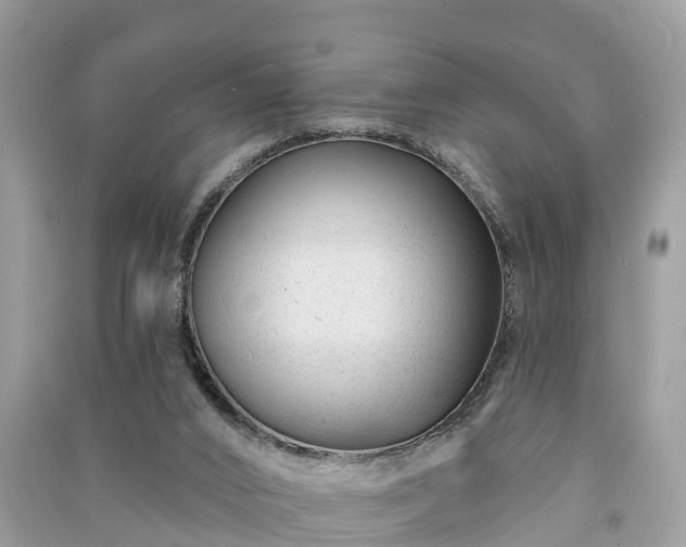 X0000091000016200708091550