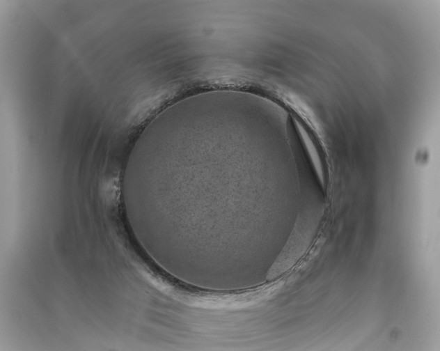 X0000091000017200708091550