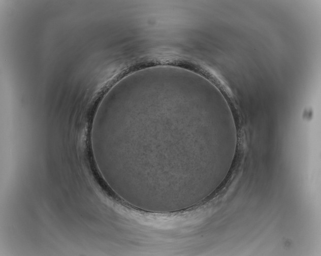 X0000091000018200708091550