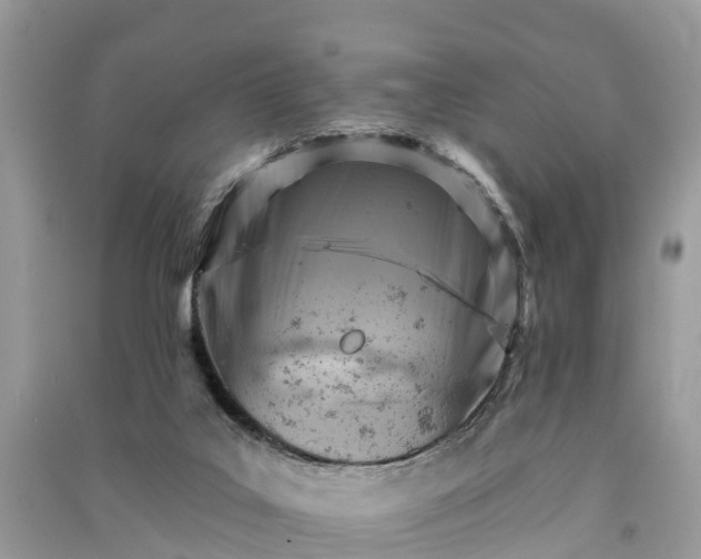 X0000091000019200708091550