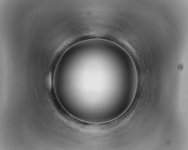 X0000091000020200708091550