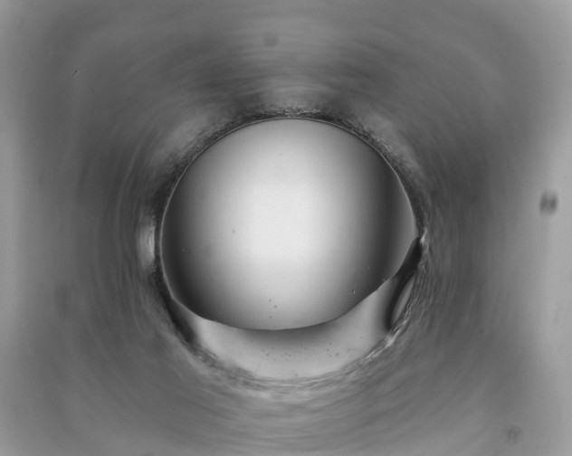 X0000091000021200708091550
