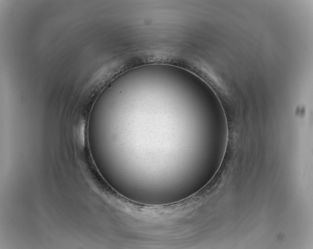 X0000091000022200708091550