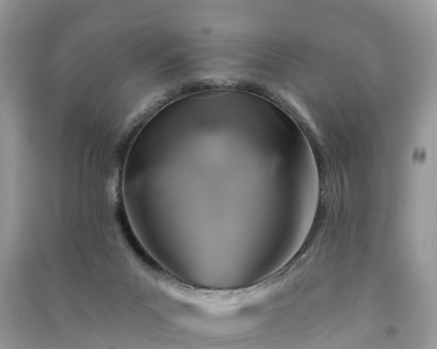 X0000091000023200708091550