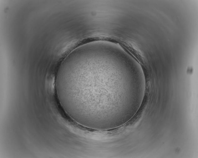 X0000091000024200708091550