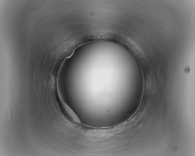 X0000091000025200708091550