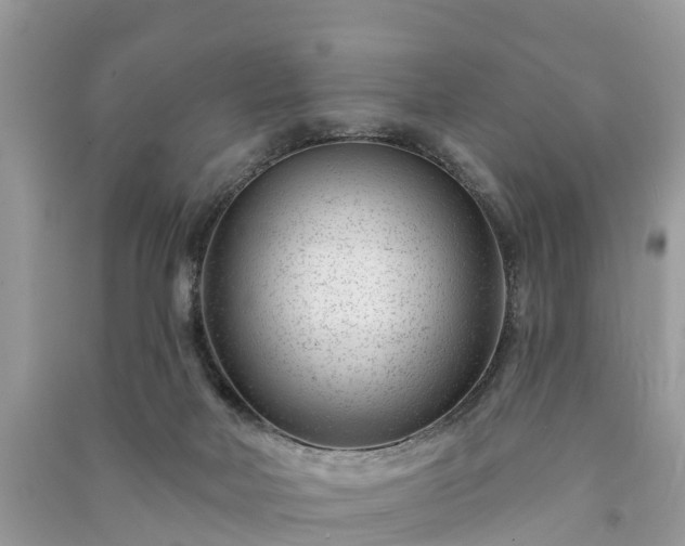 X0000091000026200708091550