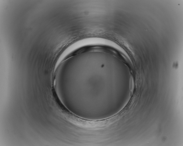 X0000091000027200708091550