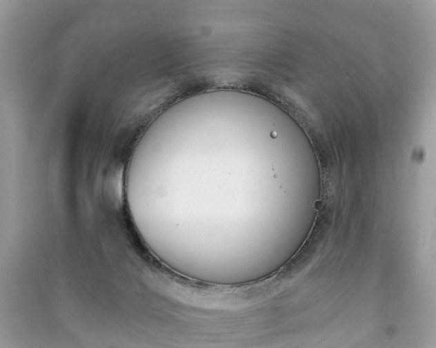 X0000091000028200708091550