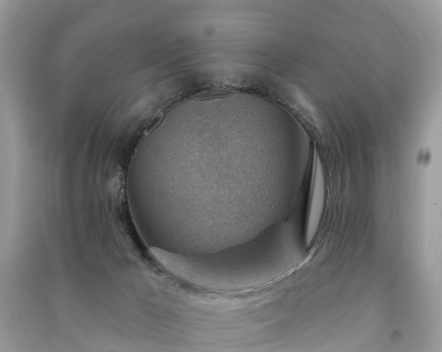 X0000091000029200708091550