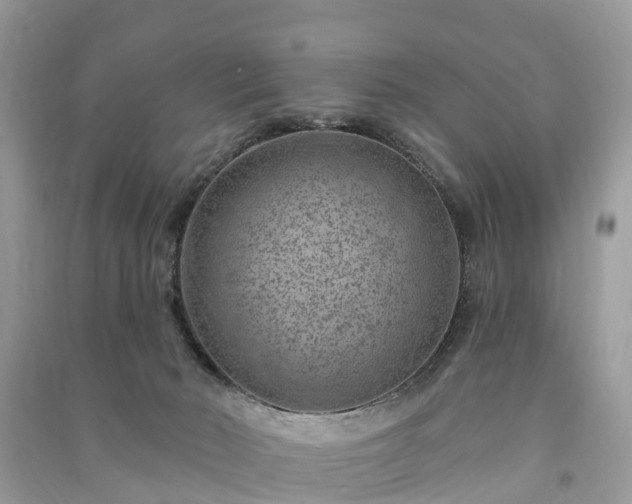 X0000091000030200708091550