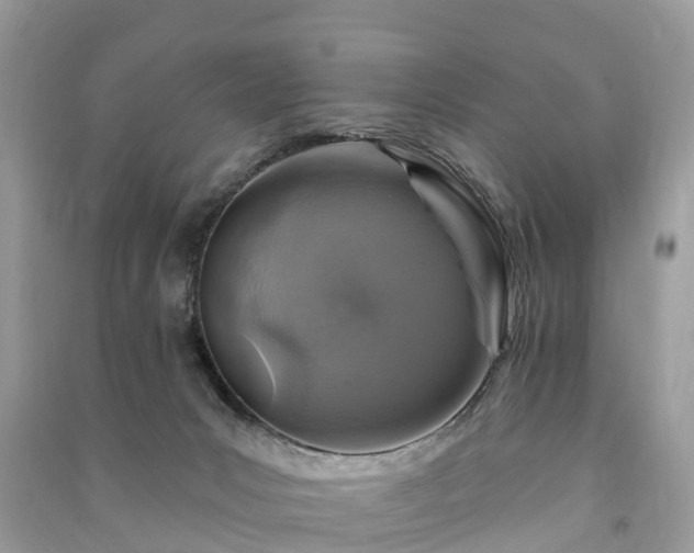 X0000091000031200708091550