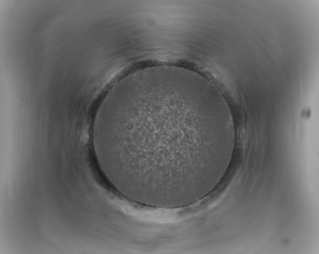 X0000091000032200708091550