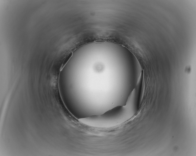 X0000091000033200708091550