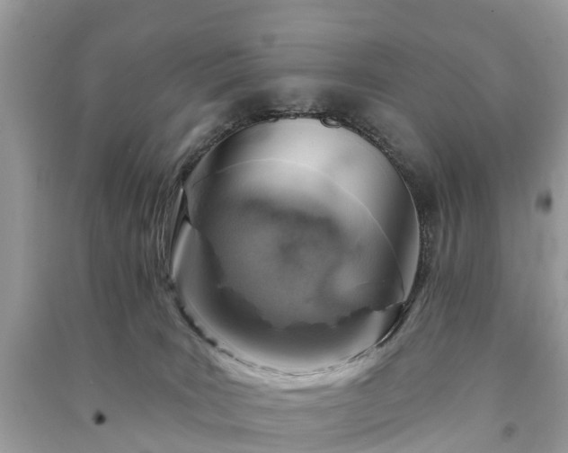 X0000091000035200708091549