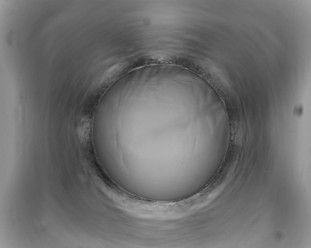 X0000091000036200708091549