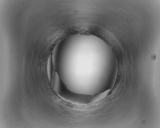 X0000091000037200708091549