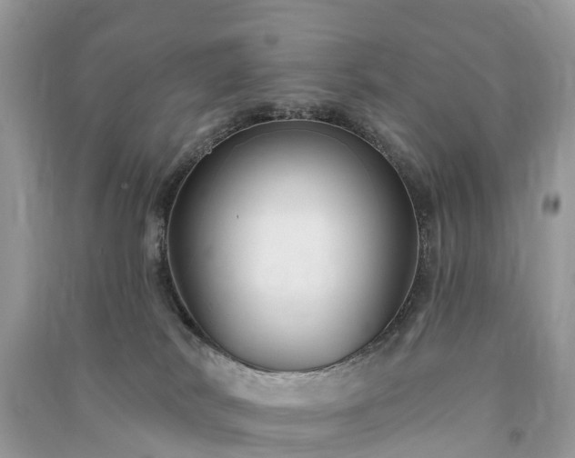 X0000091000038200708091549