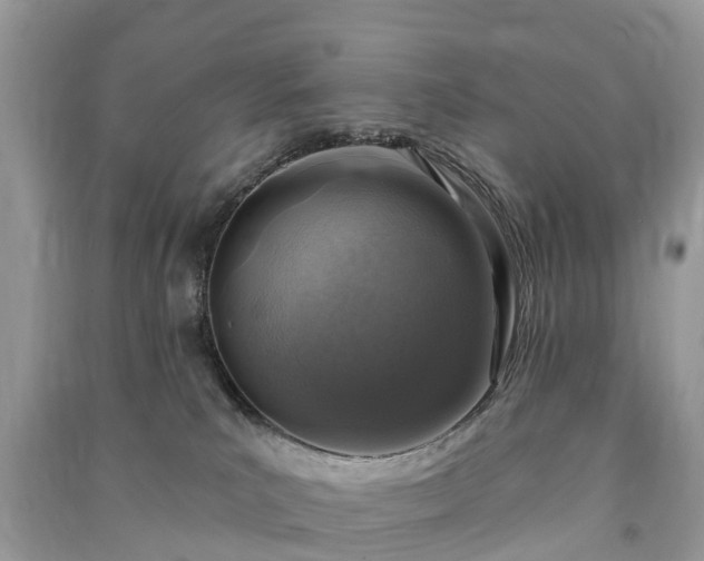 X0000091000039200708091549