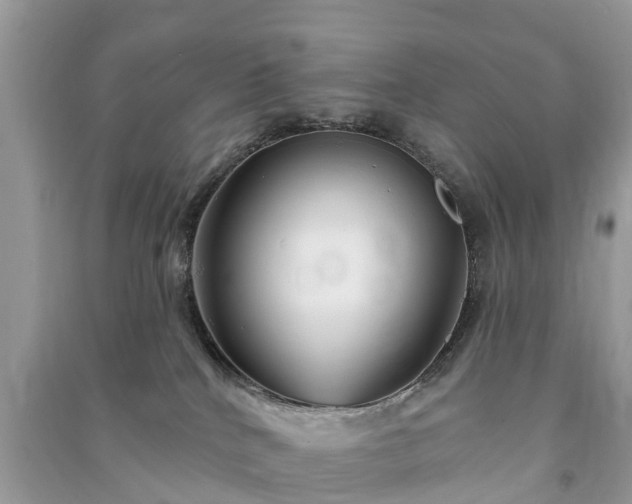 X0000091000040200708091549