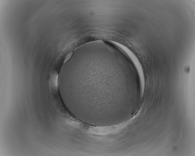 X0000091000041200708091549