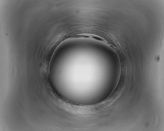 X0000091000044200708091549