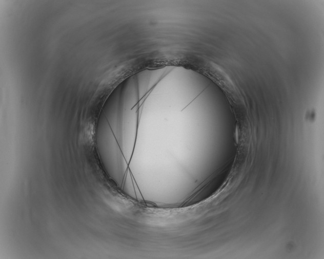 X0000091000045200708091549