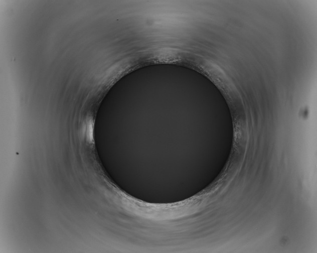 X0000091000046200708091549
