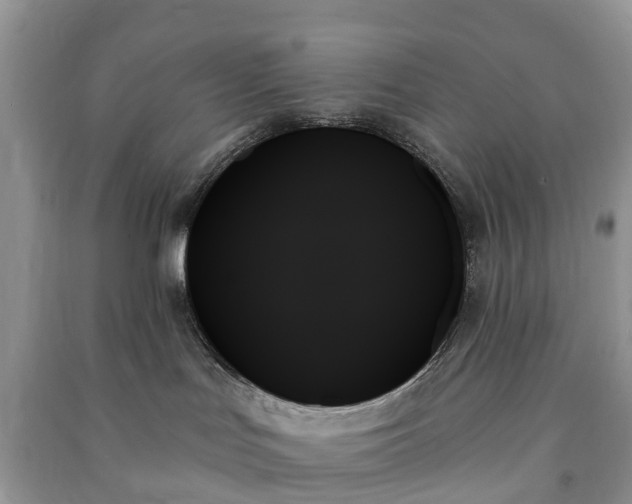 X0000091000047200708091549