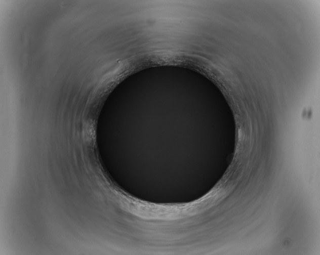 X0000091000048200708091549