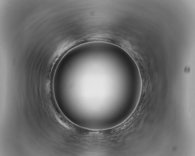 X0000091000050200708091549