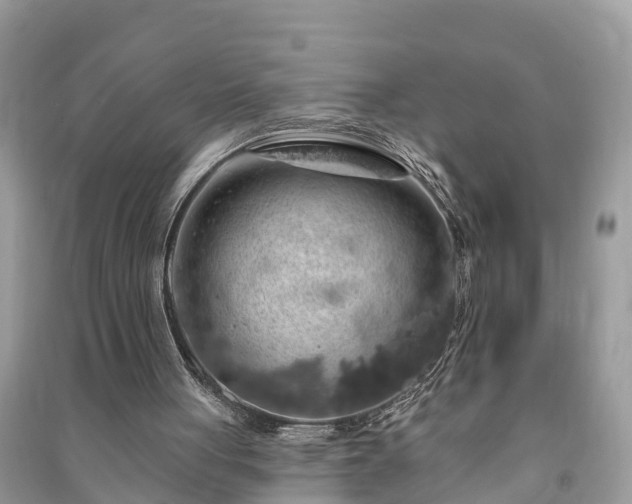 X0000091000051200708091549