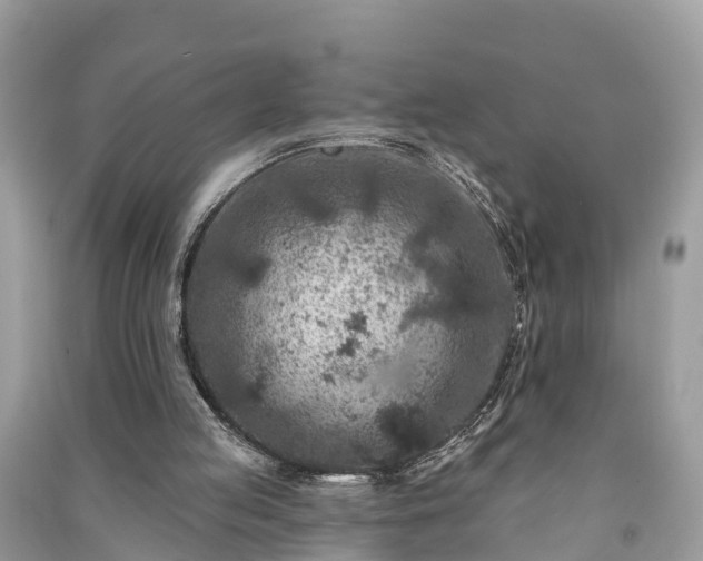 X0000091000053200708091549