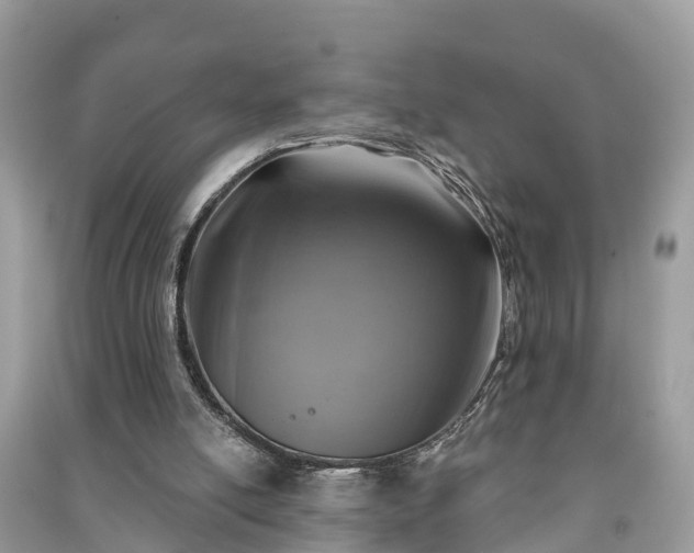 X0000091000054200708091549