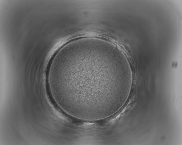 X0000091000055200708091549