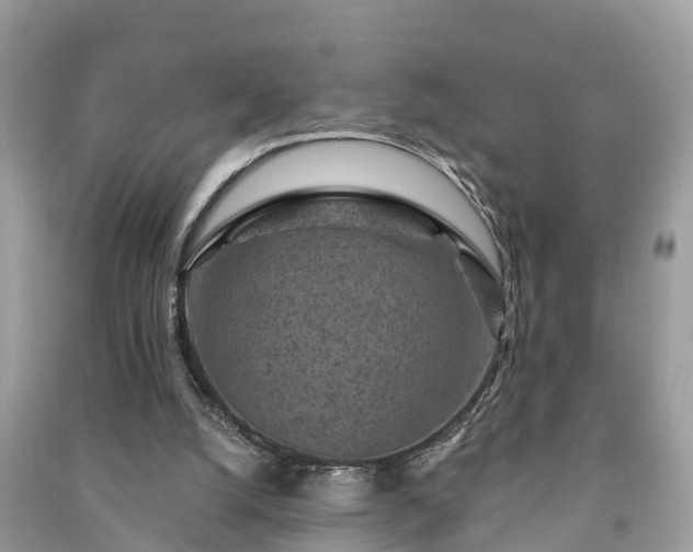 X0000091000056200708091549