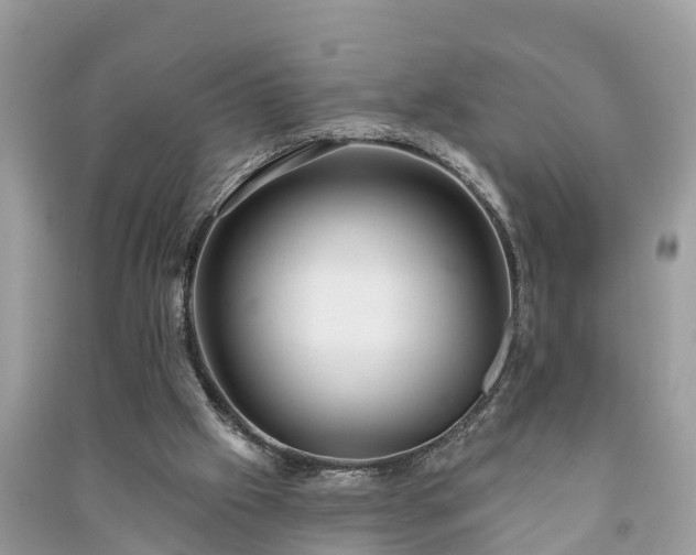 X0000091000057200708091549