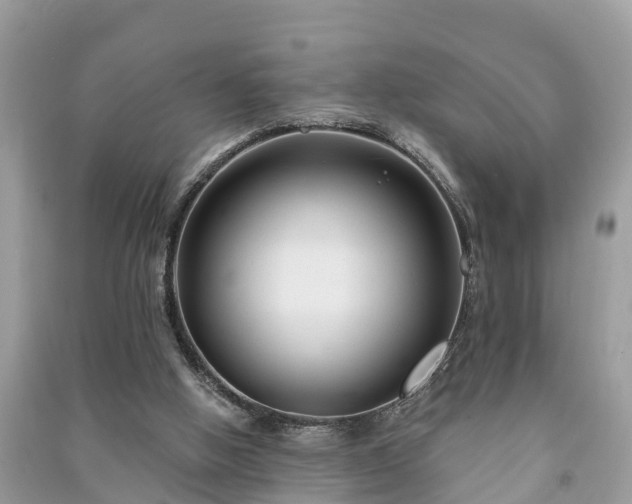 X0000091000058200708091549