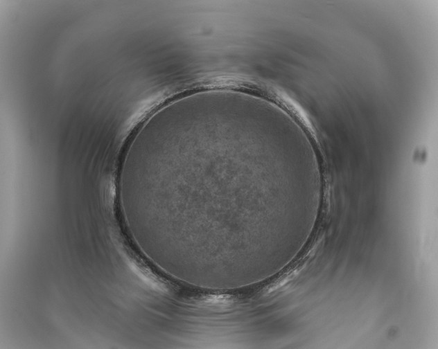 X0000091000059200708091549