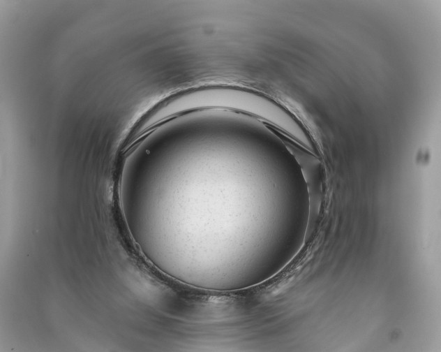 X0000091000060200708091549